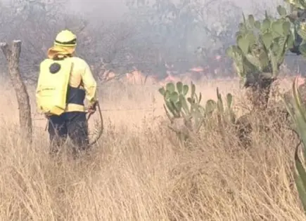 Combaten incendio de pastizales en Mexquitic