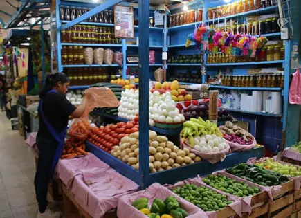 Tomateros buscan otros mercados