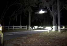 Incidente fatal: Caimán mata a mujer en Florida Incidente fatal: Caimán mata a mujer en Florida