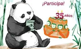 Celebran los 35 años de Xin Xin con concurso de dibujo en Chapultepec