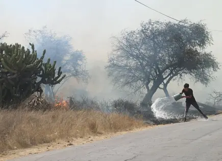 Endurecen penas contra incendiarios