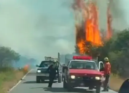 Sofocan Bomberos incendio en la rúa a Tanque Colorado