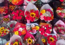 Florer&iacute;as esperan buenas ventas para el 10 de mayo