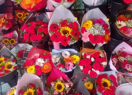 Florerías esperan buenas ventas para el 10 de mayo