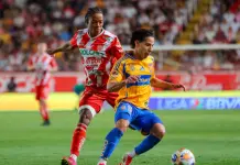 Tigres y Necaxa empatan sin goles en un duelo de atajadas Tigres y Necaxa empatan sin goles en un duelo de atajadas