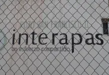 Plan de extinción de Interapas ya quedó atrás": diputada