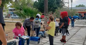 Campaña de vacunación antirrábica