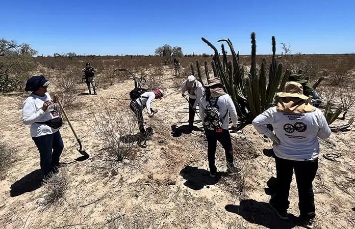 Madres buscadoras hallan fosas con restos humanos y más de 200 prendas