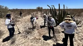 Desapariciones aumentan 213% en una d&eacute;cada: M&eacute;xico Eval&uacute;a