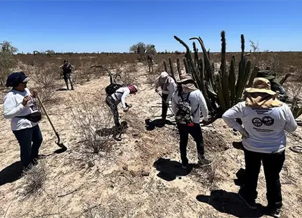 Madres Buscadoras denuncian