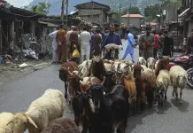 Situación actual en Cachemira tras el alto el fuego