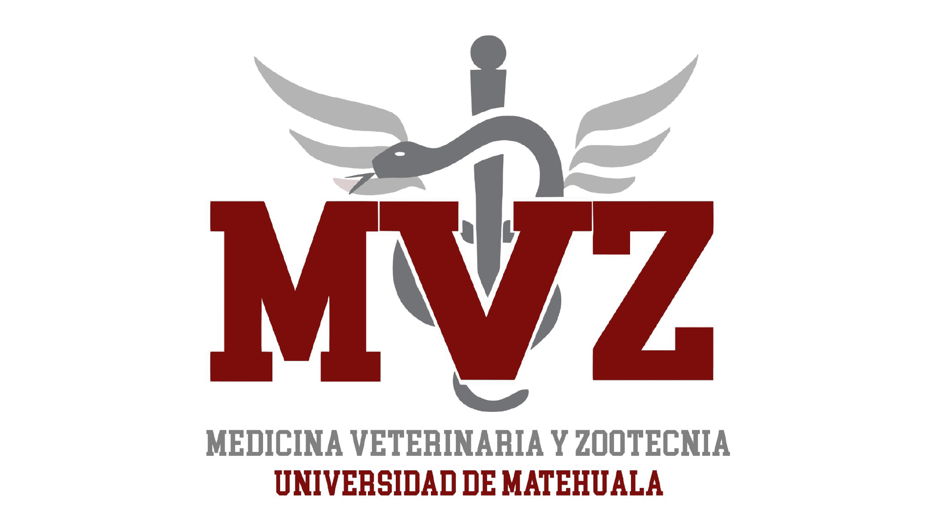 imagen carrusel