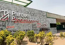 Sheinbaum: Retirarán concesión del Parque Bicentenario