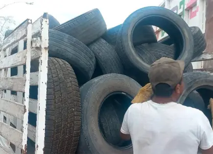 Continúa campaña sanitaria Llantatón