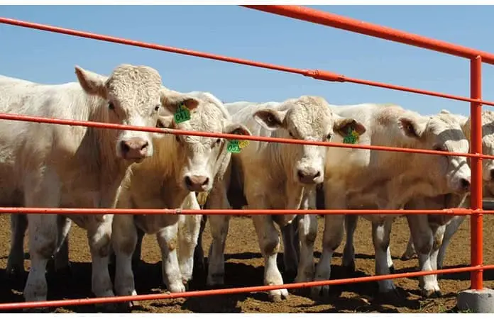 Recibirá SLP más de 60 mdp para protección agrícola y ganadera