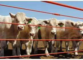 Recibirá SLP más de 60 mdp para protección agrícola y ganadera