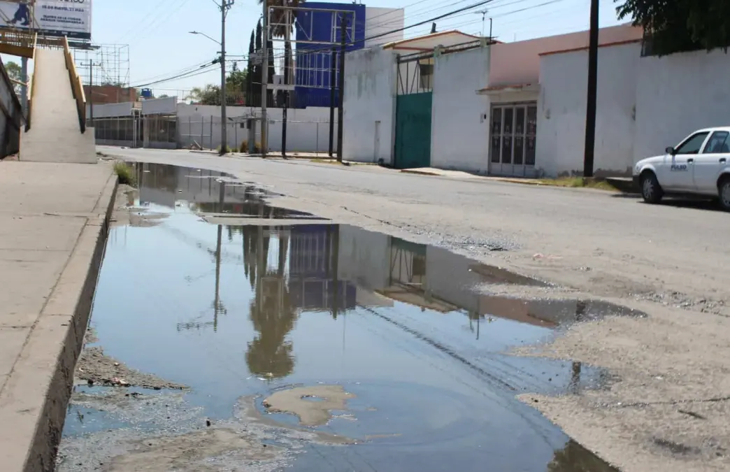 Foto: Omar Hernández/Pulso