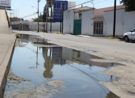 Video | Denuncian fuga de aguas negras en Salvador Nava