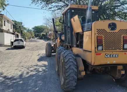 A paso de tortuga pavimentan calle
