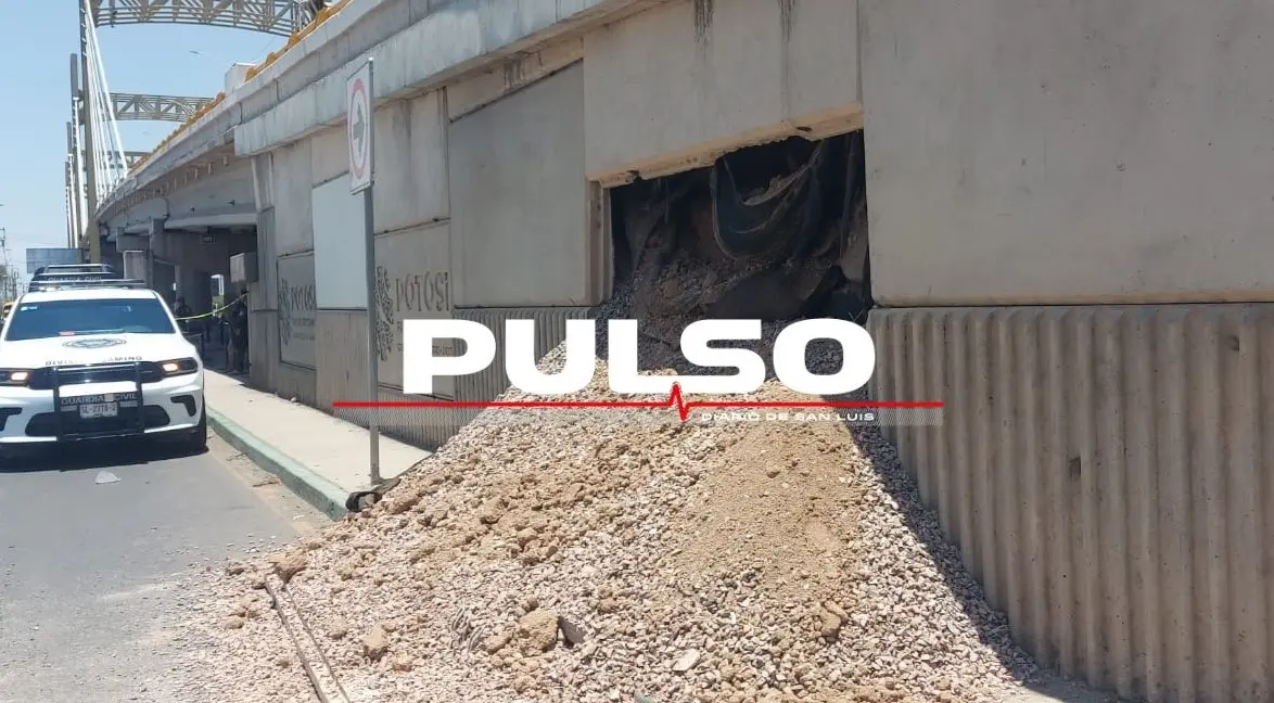 Foto: Pulso