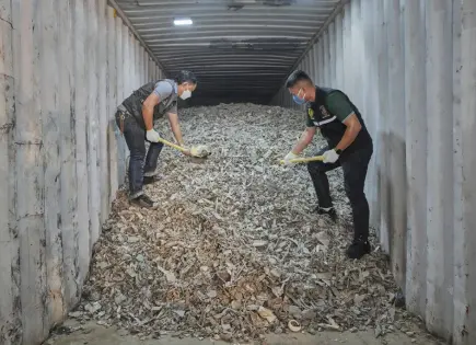 Tailandia incauta 238 toneladas de desechos electrónicos ilegales enviados desde EE. UU.