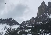 Escalador de EEUU que sobrevivió a caída de 120 metros que mató a otros 3 estuvo inconsciente horas Escalador de EEUU que sobrevivió a caída de 120 metros que mató a otros 3 estuvo inconsciente horas