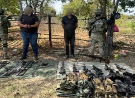 Fuerzas federales aseguran arsenal y vehículos robados en Culiacán y Elota