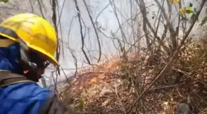 Video | Continúa combate de incendios forestales en Ciudad Valles
