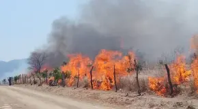 Incendios forestales en límites de Valles