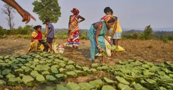 Mujeres Indígenas en India: Protegiendo Recursos Naturales