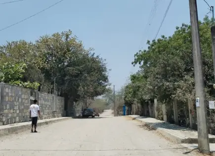 Ejido Plan de Ayala, botín de ceceístas