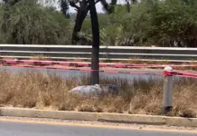 Hallan cad&aacute;ver de hombre en camell&oacute;n de carretera a Rioverde
