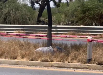 Hallan cadáver de hombre en camellón de carretera a Rioverde