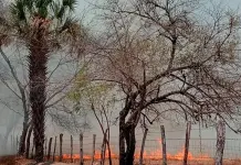 Extinguen unos incendios y surgen otros Extinguen unos incendios y surgen otros