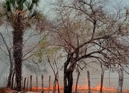 Extinguen unos incendios y surgen otros