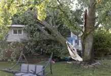 Fuertes tormentas derriban árboles y dejan sin luz a miles en la región de los Grandes Lagos Fuertes tormentas derriban árboles y dejan sin luz a miles en la región de los Grandes Lagos