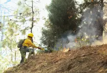Brigadista resulta herido tras explosi&oacute;n de artefacto en incendio forestal en Concordia, Sinaloa