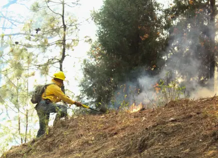 Brigadista resulta herido tras explosión de artefacto en incendio forestal en Concordia, Sinaloa
