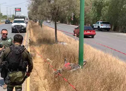 Descubren cuerpo en camellón