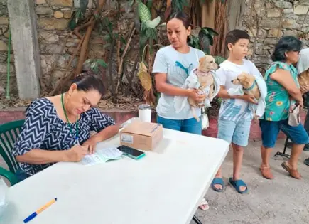 Vacunan a mascotas en La Colmena Vacunan a mascotas en La Colmena