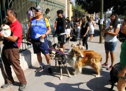 Foto del día | Vacunas antirrábicas en acción