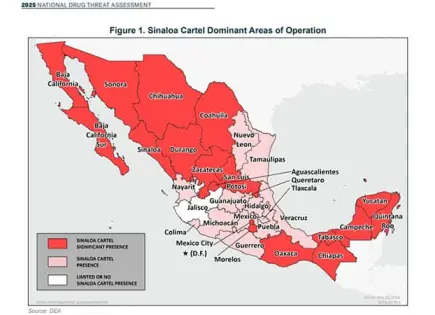 Rijosos e inútiles Rijosos e inútiles