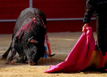 SOBRE TOROS Y CORRIDAS