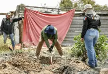 Ca&ntilde;&oacute;n de las Carretas, punto clave en b&uacute;squeda de desaparecidos en Tijuana