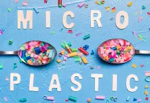 Estudio sobre los efectos de los micropl&aacute;sticos en el organismo humano