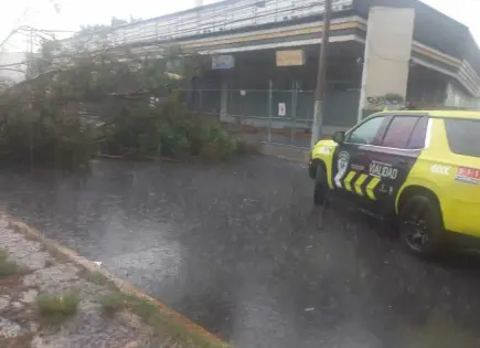 Fuerte tromba sorprende a la capital potosina y causa caos vial