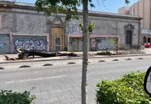 Árbol cae sobre banca en Carranza; el tronco aparece quemado