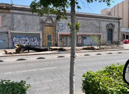 Árbol cae sobre banca en Carranza; el tronco aparece quemado