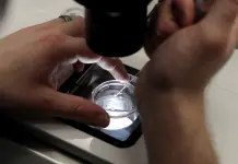 Trump revisa recomendaciones sobre política de FIV prometidas en orden ejecutiva