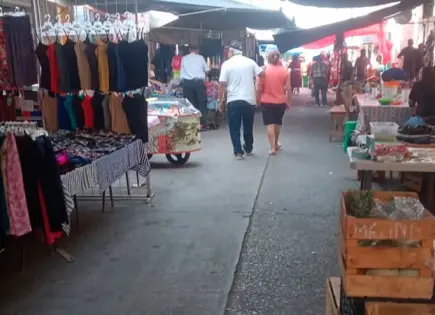 Tianguistas reportan bajas ventas Tianguistas reportan bajas ventas